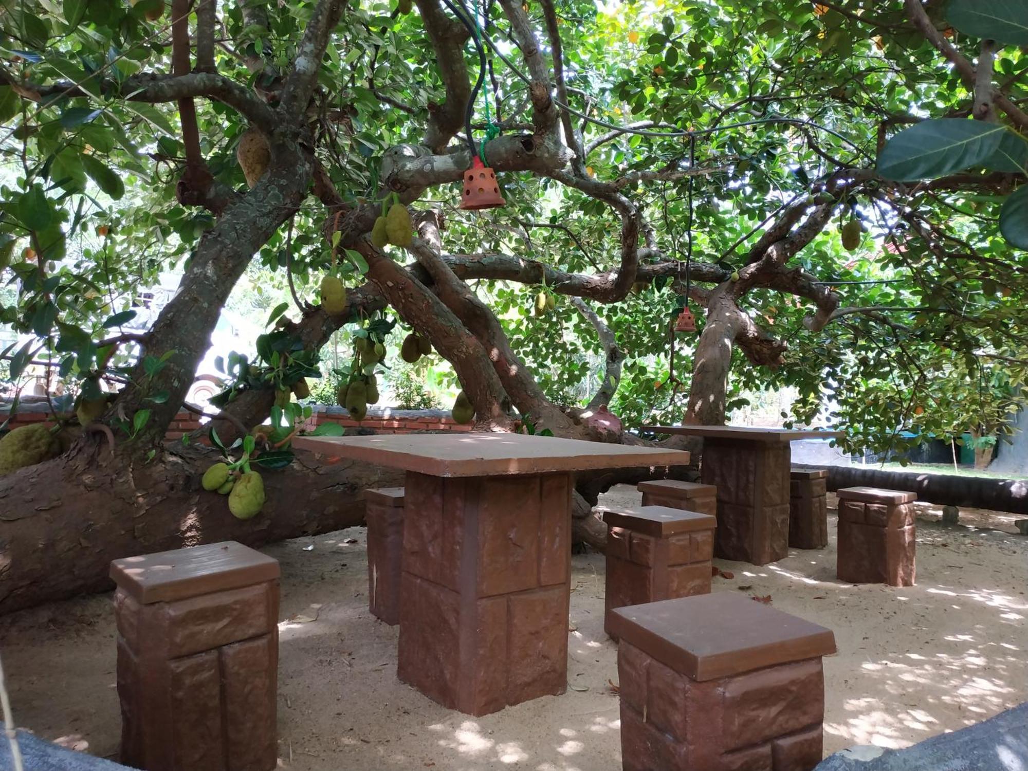 Sigiriya Cashew Palace Resort Daganapothaha 外观 照片