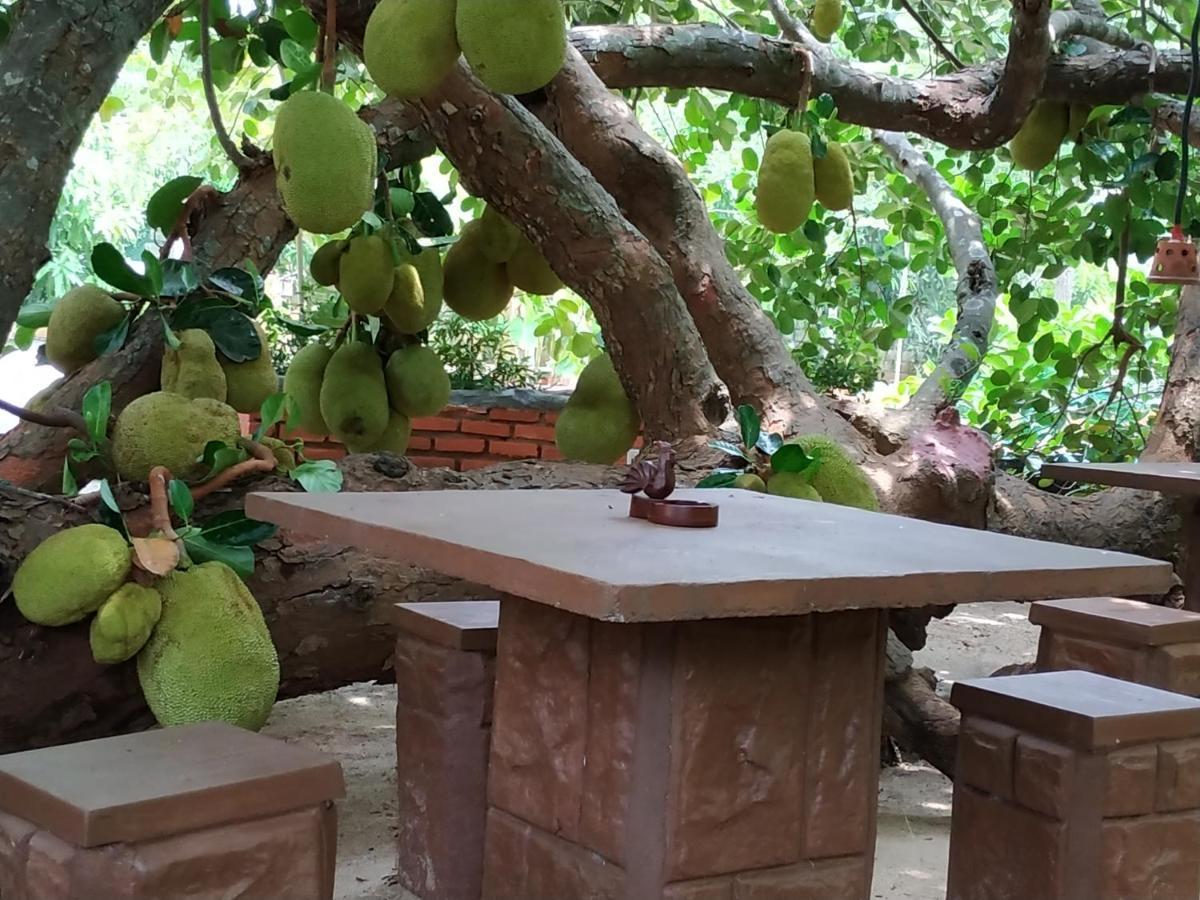 Sigiriya Cashew Palace Resort Daganapothaha 外观 照片