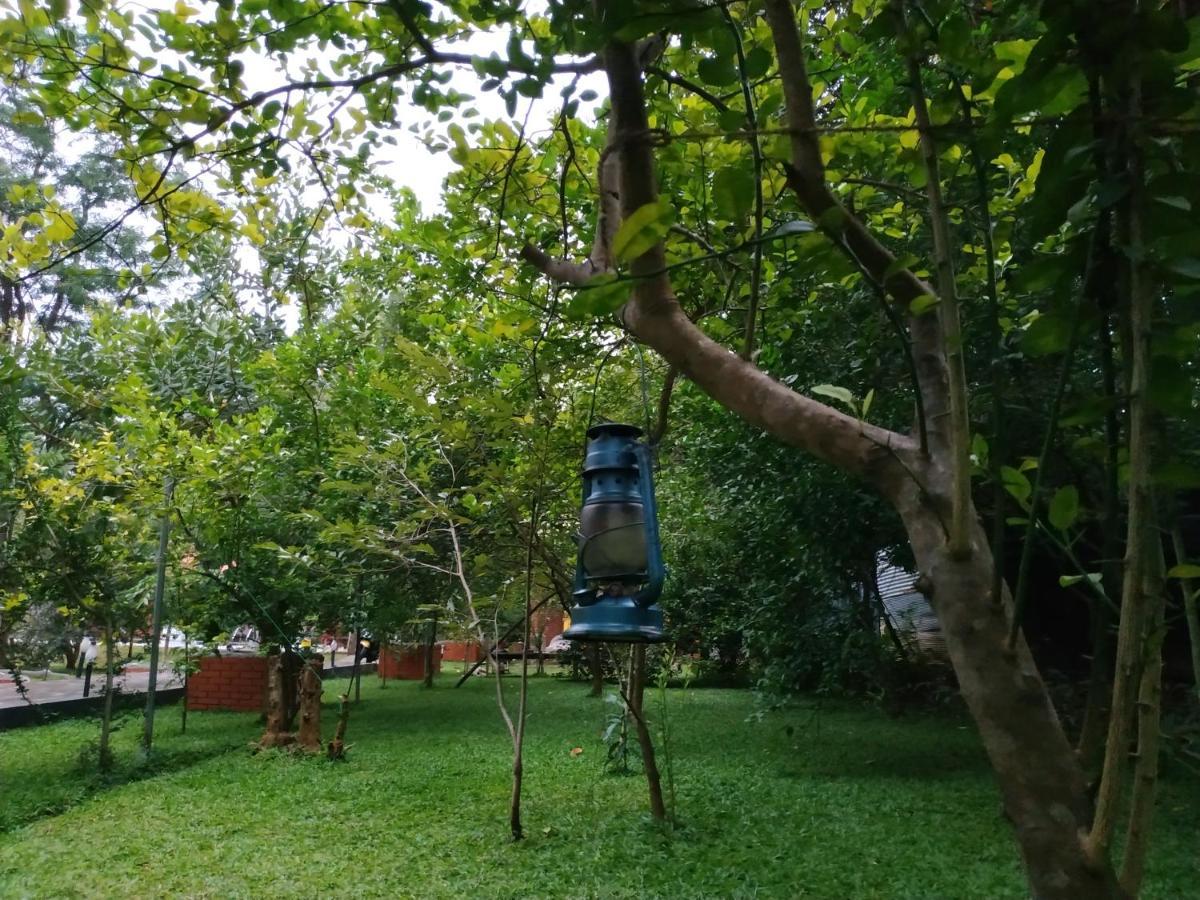 Sigiriya Cashew Palace Resort Daganapothaha 外观 照片