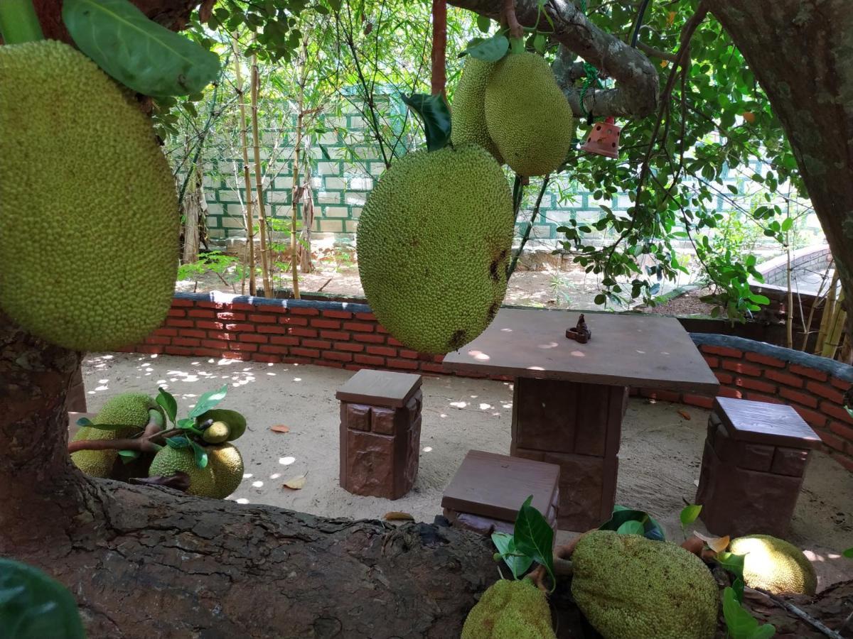 Sigiriya Cashew Palace Resort Daganapothaha 外观 照片