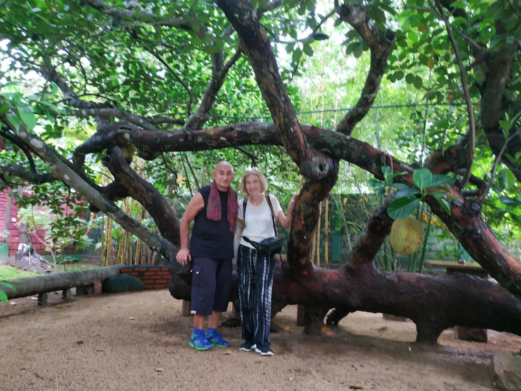 Sigiriya Cashew Palace Resort Daganapothaha 外观 照片