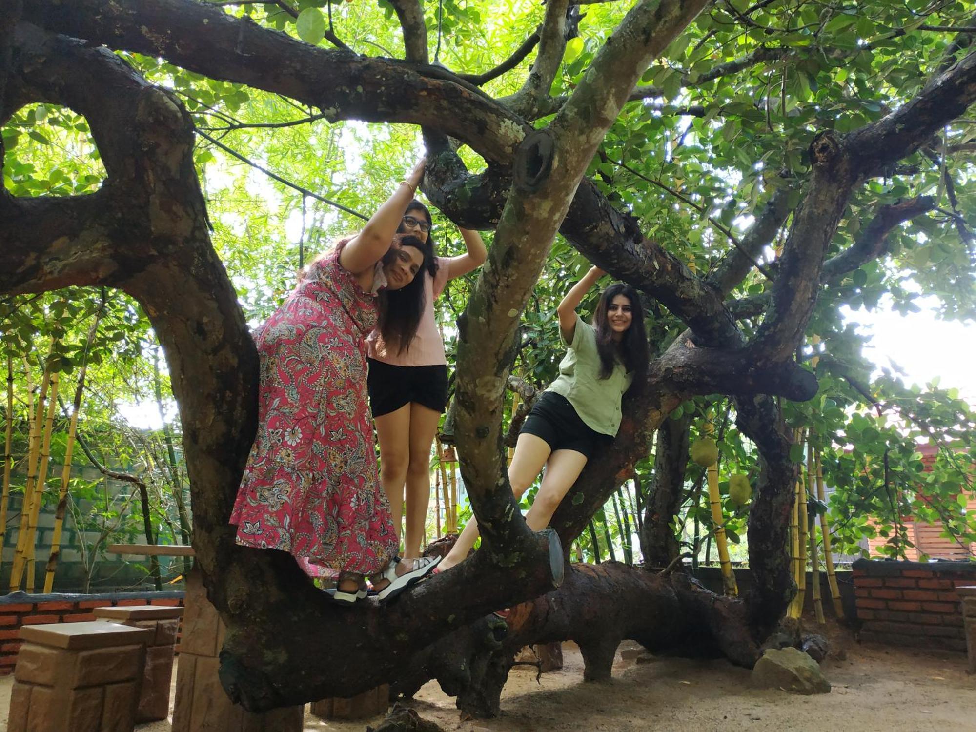 Sigiriya Cashew Palace Resort Daganapothaha 外观 照片
