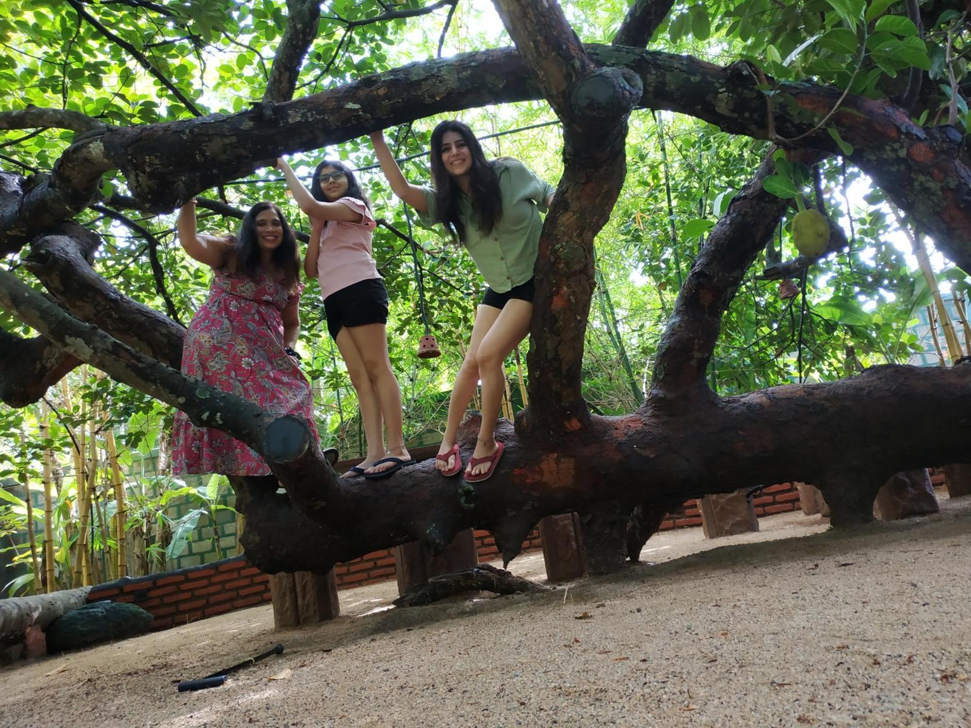 Sigiriya Cashew Palace Resort Daganapothaha 外观 照片