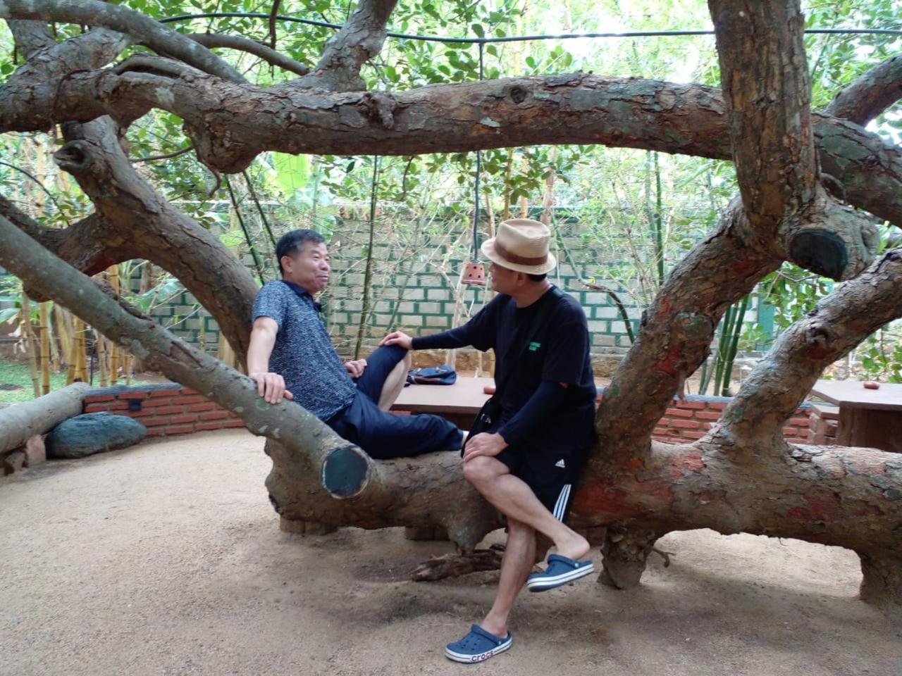 Sigiriya Cashew Palace Resort Daganapothaha 外观 照片