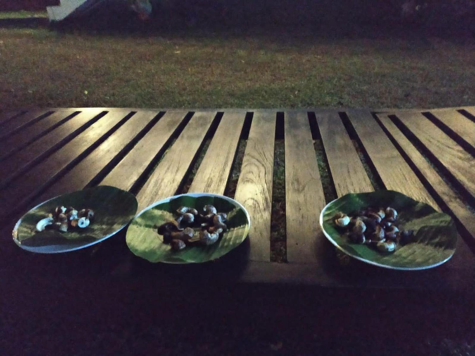 Sigiriya Cashew Palace Resort Daganapothaha 外观 照片