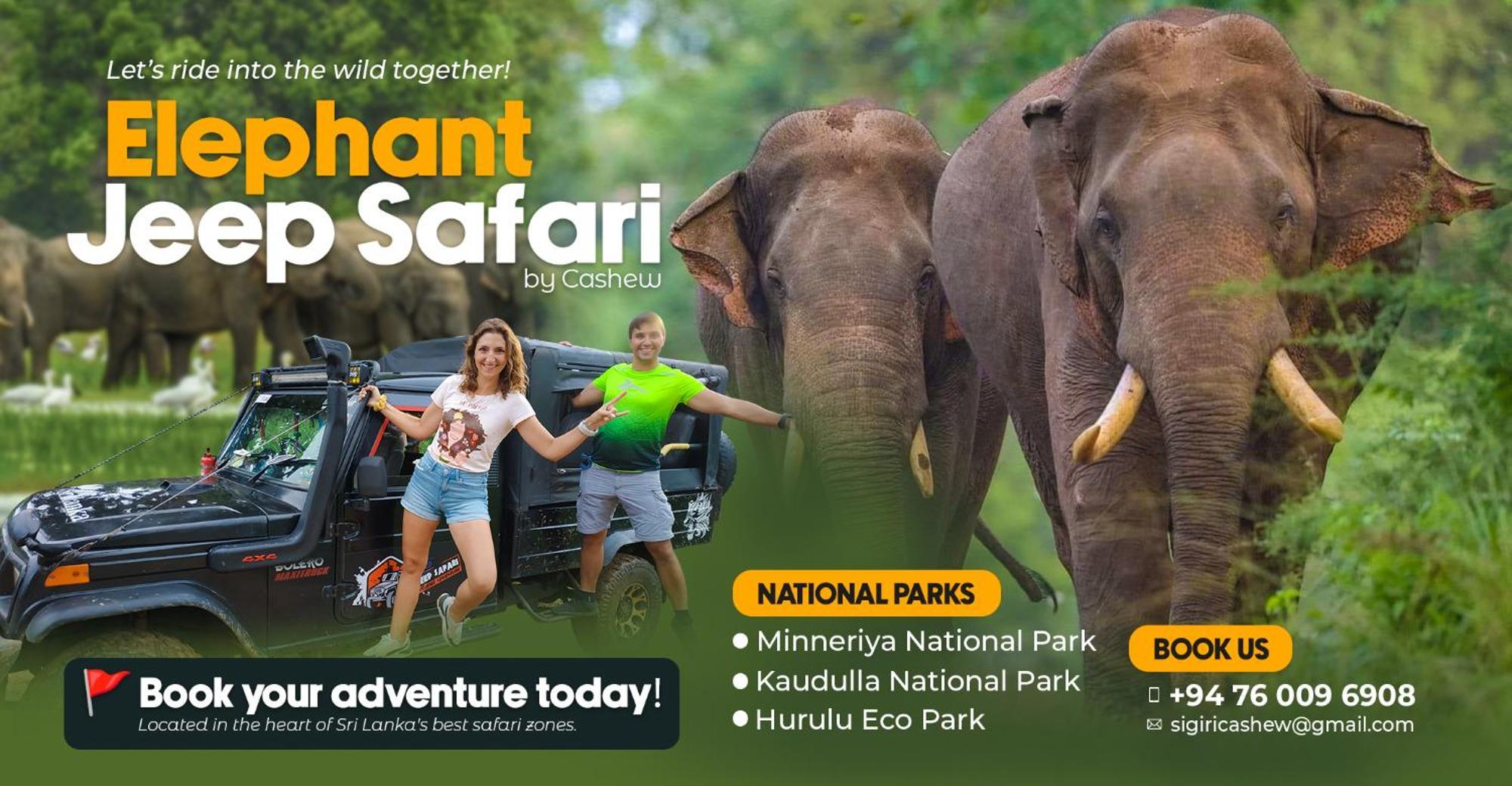 Sigiriya Cashew Palace Resort Daganapothaha 外观 照片